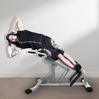 Amazon.co.jp: バックエクステンションベンチ ローマンチェア 過伸展